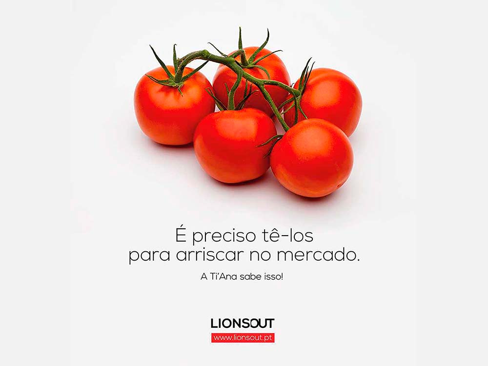 LIONSOUT - Campanha de Marketing
